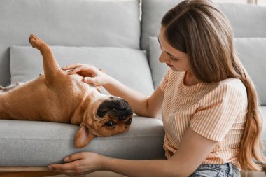 Evde sevimli bir Fransız bulldog 'u olan genç bir kadın.