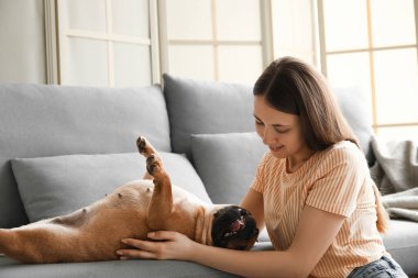 Evde sevimli bir Fransız bulldog 'u olan genç bir kadın.