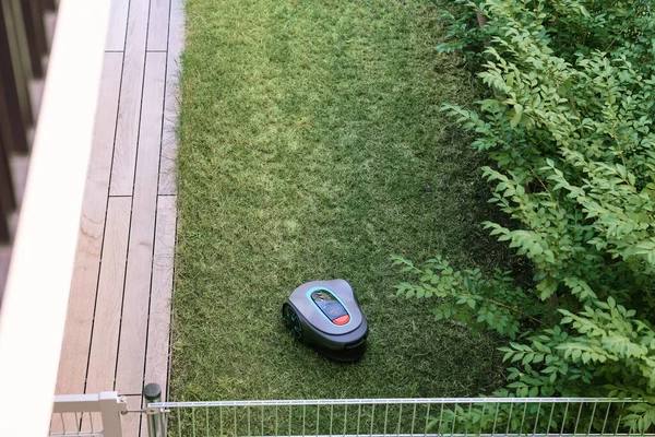 Robotic Lawn Mower Green Grass — Stock Photo, Image