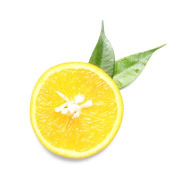 Dilimlenmiş limon ve beyaz arka planda çiçek dalları