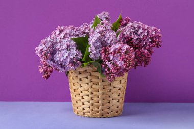 Renkli arkaplanda çiçek açan leylak dalları olan hasır sepet.