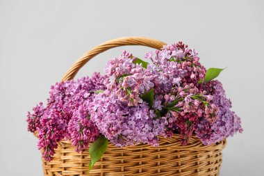Açık arkaplanda aromalı leylak çiçekleri olan hasır sepet, yakın plan.
