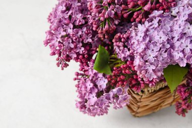 Açık arkaplanda taze leylak çiçekli sepet, yakın plan.