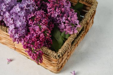 Açık arkaplanda aromalı leylak çiçekli sepet, yakın plan.