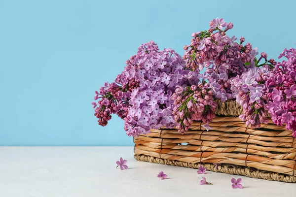 Kosz Świeżymi Liliowymi Kwiatami Stole Tle Koloru — Zdjęcie stockowe