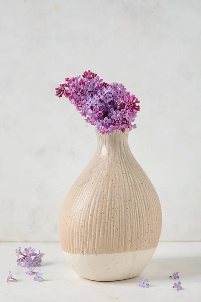 Vaso Com Flores Lilás Aromáticas Sobre Fundo Claro — Fotografia de Stock