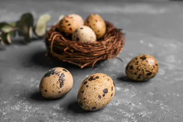 Fresh Quail Eggs Blue Background — Stock Photo, Image