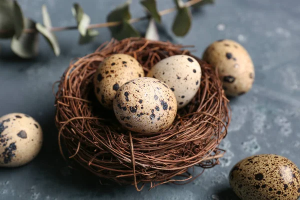 Nest Fresh Quail Eggs Blue Background — Stock Photo, Image