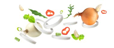 Uçan soğan, otlar ve baharatlar beyaza izole edilmiş.