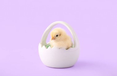 Leylak arkaplanlı şirin bir piliç sepeti.