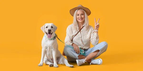 Счастливая Зрелая Женщина Милой Лабрадором Собака Показывает Победный Жест Желтом — стоковое фото