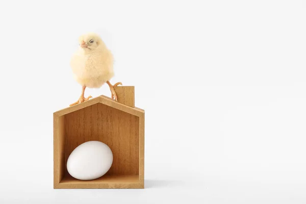 Wooden House Figure Cute Little Chick White Background — Stock Photo, Image
