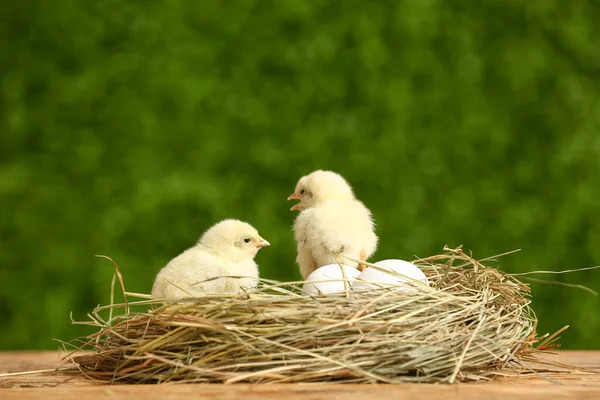 巣かわいい女の子と卵の木のテーブルの上に屋外 — ストック写真