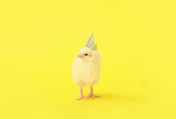 Niedliche Kleine Küken Mit Krone Auf Gelbem Hintergrund — Stockfoto