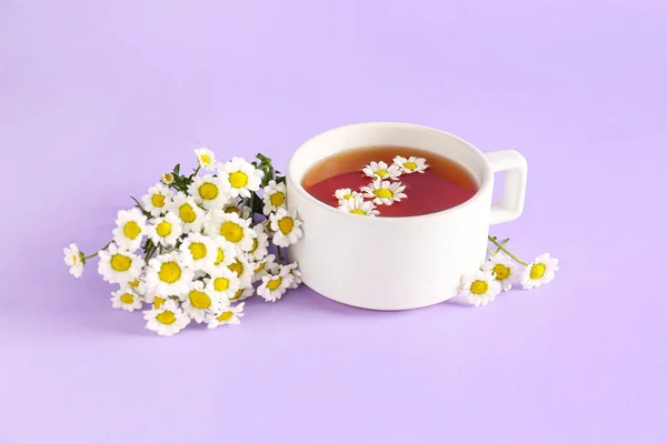 Filiżanka Naturalnej Herbaty Rumianku Kwiatów Tle Liliowym — Zdjęcie stockowe