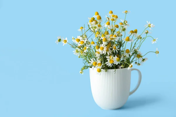 Cup Fresh Chamomile Flowers Color Background — Stock Photo, Image