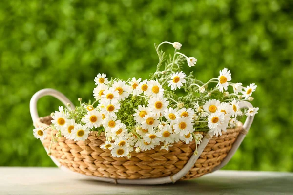 Wicker Basket Beautiful Chamomile Flowers White Table Outdoors — Stock Photo, Image