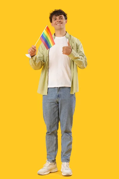 Stock image Young man with LGBT flag showing thumb-up on yellow background