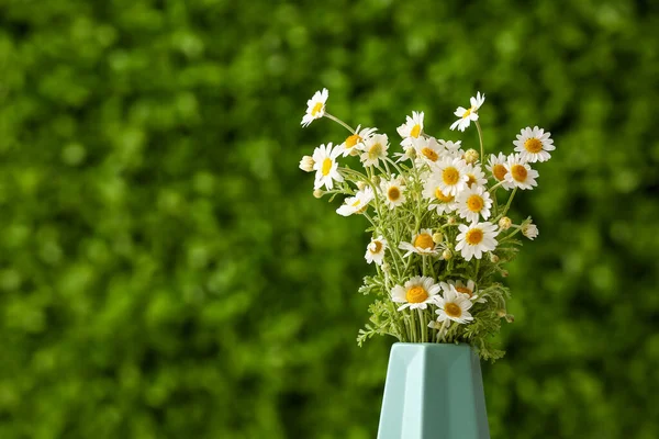 Vase Beautiful Chamomile Flowers Outdoors — Stock Photo, Image