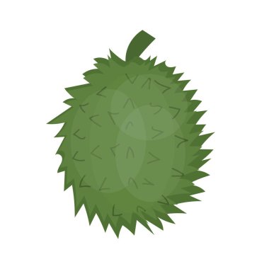 beyaz zemin üzerinde olgunlaşmış durian