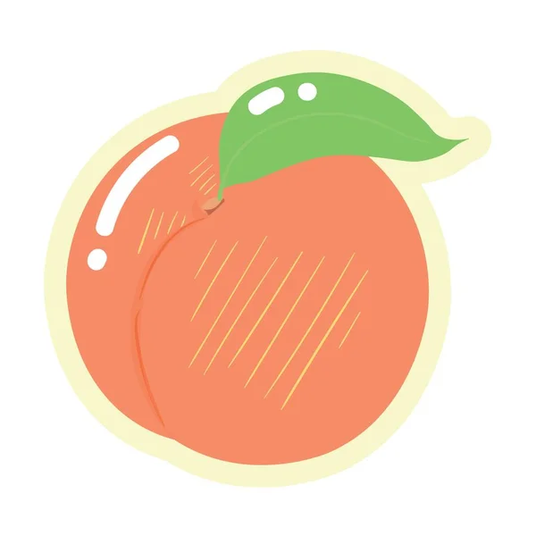 白色背景的甜成熟桃子 — 图库矢量图片