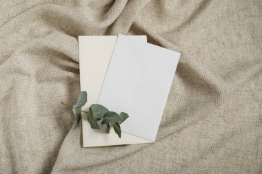 Gri buruşuk masa örtüsünün üzerinde okaliptüs dalı olan boş davetiye kartı