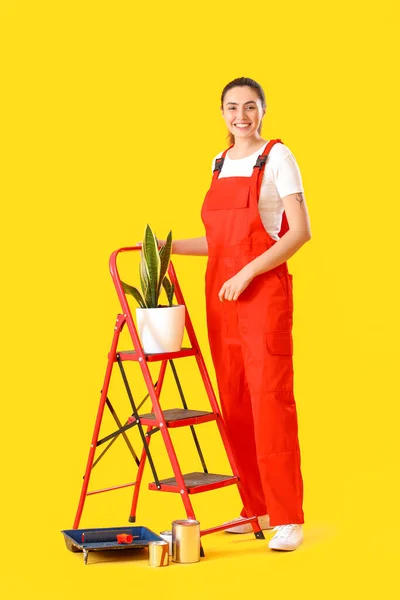Young Woman Ladder Houseplant Paint Cans Yellow Background — 스톡 사진