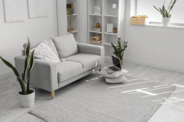 Interior of light living room with grey sofa, houseplants and shelving unit