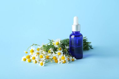 Bir şişe gerekli yağ ve güzel papatya çiçekleri.