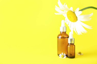 Sarı arka planda gerekli yağ ve papatya çiçekleri.