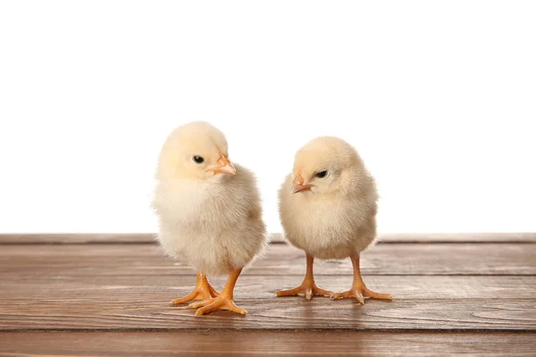 Cute Little Chicks Wooden Table White Background — Stock Photo, Image