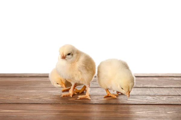 Милые Маленькие Цыплята Деревянном Столе Белом Фоне — стоковое фото