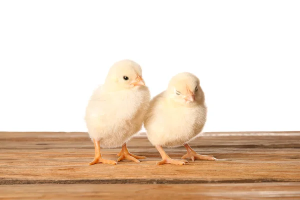 Милые Маленькие Цыплята Деревянном Столе Белом Фоне — стоковое фото