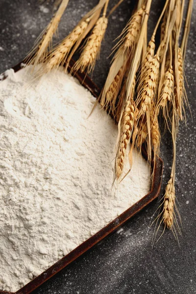 Plate Flour Wheat Ears Grunge Black Background — Stock Photo, Image