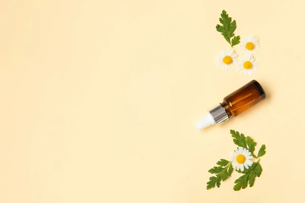 Composition Bottle Essential Oil Fresh Chamomile Flowers Leaves Color Background — Stock Photo, Image