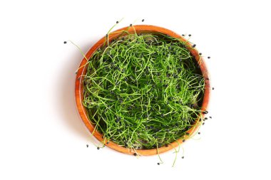 Beyaz arka planda taze mikro yeşil çanak