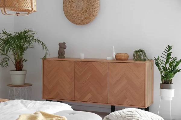 Stylish Wooden Cabinet Houseplants Interior Room — Stock Photo, Image