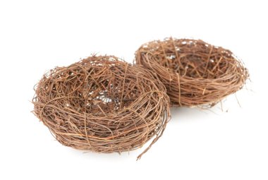 Boş yuvaları beyaz arkaplanda izole