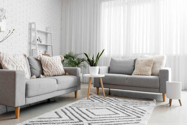 Stylish Interior Light Living Room Comfortable Sofas — Stock Photo, Image