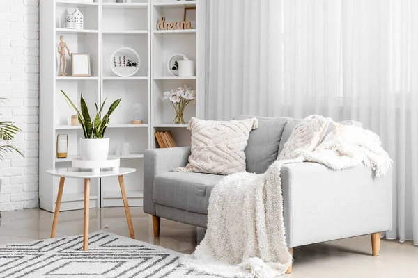 Interior Bergaya Ruang Tamu Terang Dengan Sofa Nyaman Dan Tanaman — Stok Foto