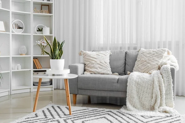 Comfortable Sofa Cushions Interior Light Living Room — Stock Photo, Image