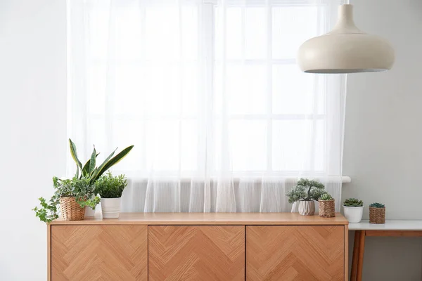 Wooden Cabinet Houseplants Window Interior Room — Stock Photo, Image