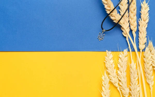 stock image Pendant with coat of arms of Ukraine and wheat spikelets against Ukrainian flag