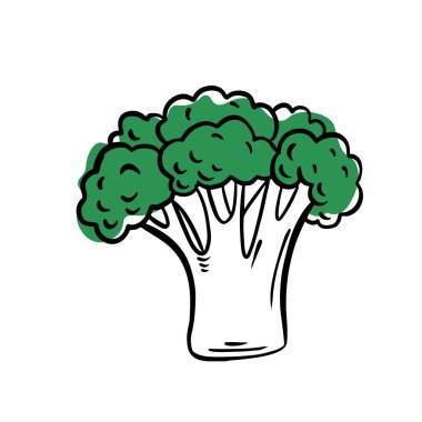 Beyaz arkaplanda yeşil brokoli