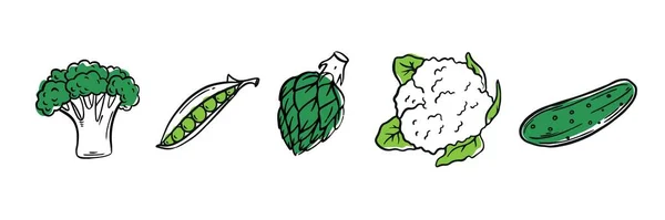 收集白色背景的绿色蔬菜 — 图库矢量图片