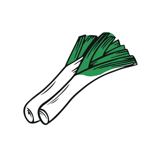 Oignons Poireau Vert Sur Fond Blanc — Image vectorielle