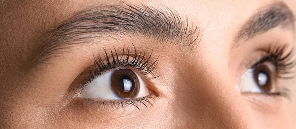 Woman Brown Eyes Closeup — Stok fotoğraf