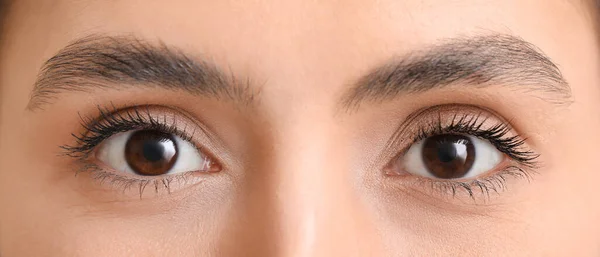 Woman Brown Eyes Closeup — Stockfoto