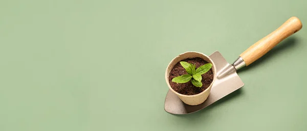 Peat Pot Green Seedling Gardening Shovel Green Background Space Text — Stock Photo, Image