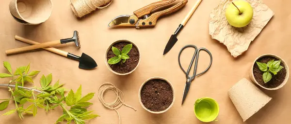 Peat Pots Seedlings Different Gardening Tools Paper Background — Stock Photo, Image